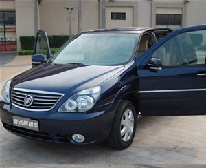 商務(wù)車(chē)（5）