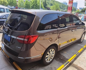 商務(wù)車(chē)（8）