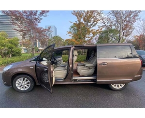 商務(wù)車(chē) (1)